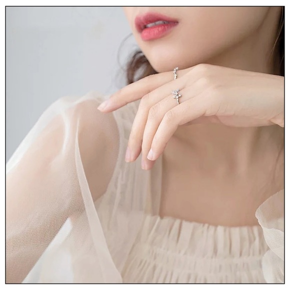 ZODIAC Star Constellation Silver Adjustable Ring - Picture 6 of 8